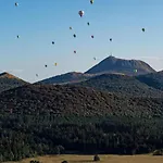 Les Fougères #MaisonSavaron